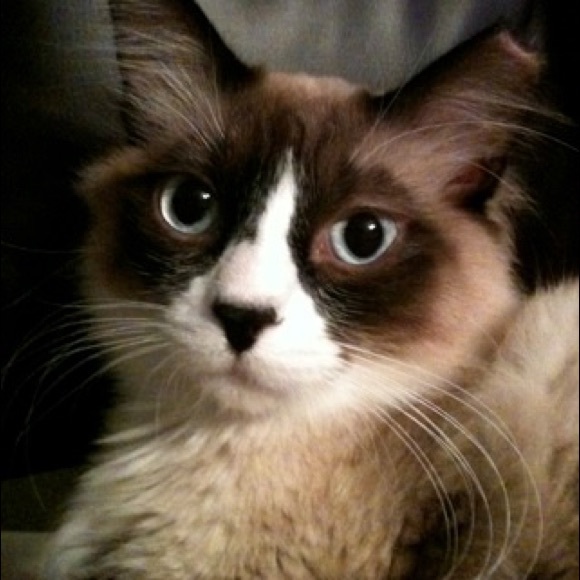 Meet your Posher, Jan - Picture 4 of 10